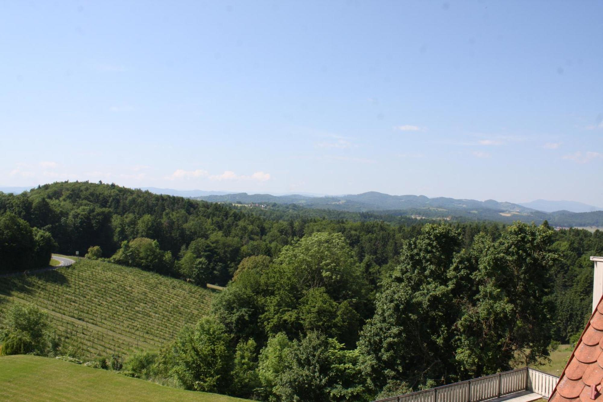 Hotel Garni Am Seggauberg Лайбниц Екстериор снимка